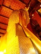 Reclining Buddha in Wat Pho, Bangkok, Thailand. Reclining Buddha in Wat Pho, Bangkok, Thailand.