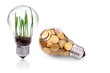 Green renewable energy farm it is near future