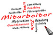 Mitarbeiter