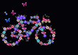 Detalii fotografie bicicletta