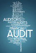 Word Cloud "Audit"