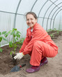 woman with pepper  seedlings
