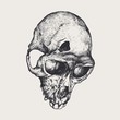 fractured skull monkeys. vector illustration