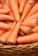 Carrots crop in a basket