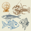 Fish, lobster, shell vector set Fish, lobster, shell vector set
