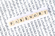 Passwort