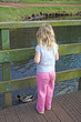 young girl feeding the ducks