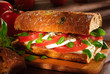 tomato and mozzarella sandwich tomato and mozzarella sandwich