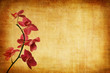 purple orchid floral background purple orchid floral background