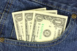 Dollar bills in the pocket