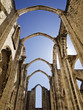Ruins of the Carmo Church