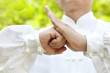 hand of master making gestures for kung fu hand of master making gestures for kung fu