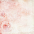 Illustration: pink wedding background with roses pink wedding background with roses