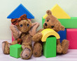 Teddy Bear and Elephant with toy blocks