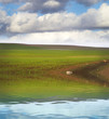 Green nature, Spanish Agriculture field with water reflection Green nature, Spanish Agriculture field with water reflection