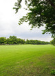 Manicured lawns