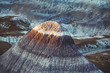 Petrified forest