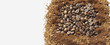 Coffee beans on white background