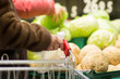 Variety of beet vegetables and cabbages on back in supermarket