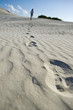 Sanddünen im Nambung Nationalpark in Westaustralien Sanddünen im Nambung Nationalpark in Westaustralien