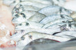 Fresh cold fish lie on ice in supermarket