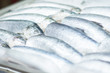 Fresh cold fish lie on ice in supermarket