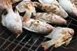Grilled fish