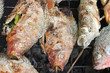 Grilled fish