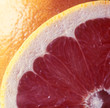 Grapefruit. Grapefruit.