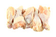 Fresh raw chicken wing on white background.