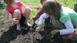 group of elementary kids and toddler planting and digging