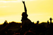 crowdsurfer