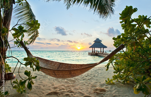 Photo: Hammock and sunset Hammock and sunset