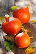 red kuri squash hokkaido
