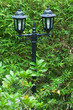 Lighting in the garden