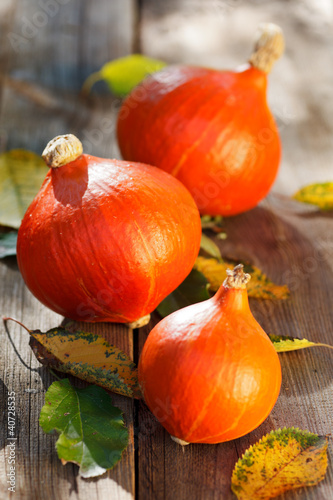 Photo: red kuri squash hokkaido red kuri squash hokkaido