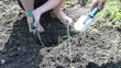 children digging gardening with spades in spring