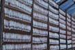 Panel dried squid Panel dried squid