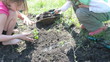 children watering digging and planting