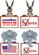 usa election