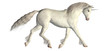 White Unicorn