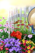 Sommergarten