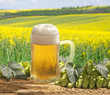 beer