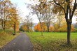 Radweg im Herbst