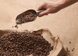 Scelta del Caffè