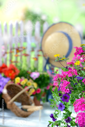 Foto: Sommergarten Sommergarten