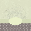 Greeting card with rose.
