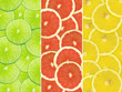 Abstract background of citrus slices. Closeup. Studio photograph Abstract background of citrus slices. Closeup. Studio photograph