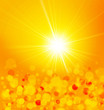 summer sun rays