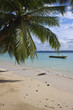 Tropical paradise beach, Havelock, Andaman Islands, India